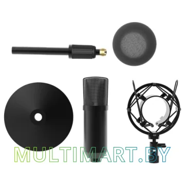 Микрофон Ritmix RDM-175 картинка 3